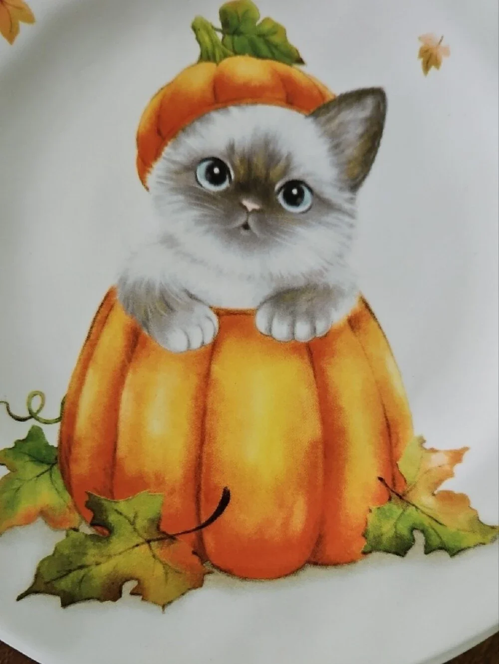 Pier 1 Cat in a Pumpkin Fall Salad/Lunxh Plates 8.5